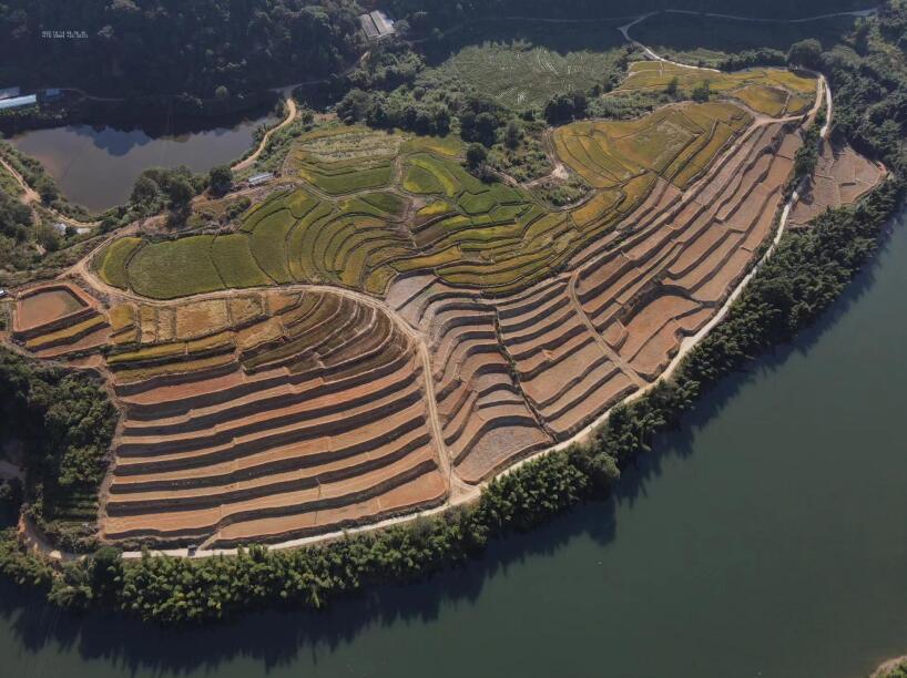 福建尤溪烟草积极推进撂荒地复垦复耕