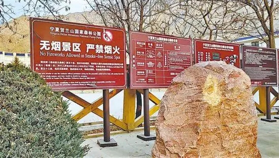 20221228ningxia.webp.jpg