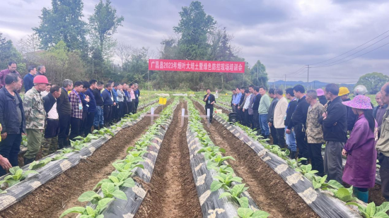 图为烟叶大培土现场培训会场景