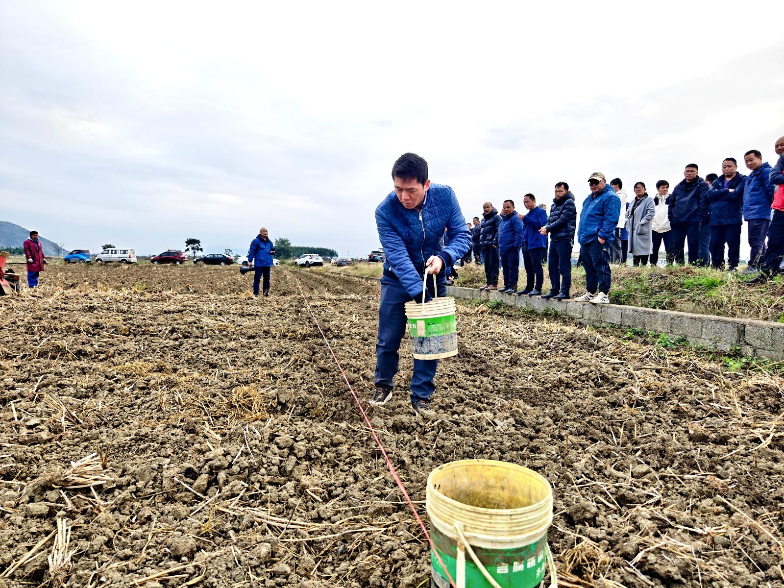 正在进行条施基肥演示操作  张瑞航摄.jpg