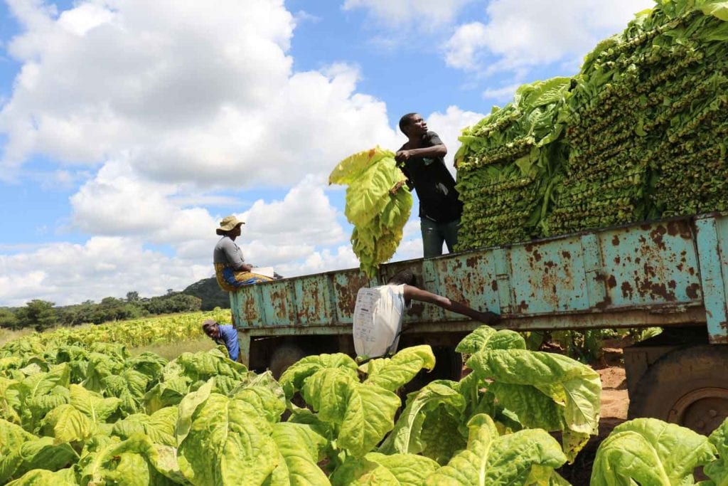 zimbabwe-tractor-1024x683.jpg